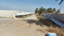 مشروع استثماري حقول دواجن متكاملة للبيع على الخط السريع الدولي في ابو غريب