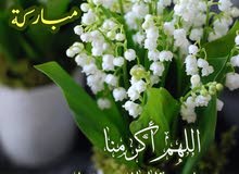 مزرعه بشرق النيل العسيلات مزرعه بشرق النيل العسيلات