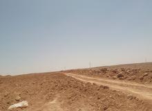 Farm Land for Sale in Mafraq Al-Khalidya