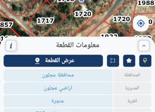 Apple iPhone 11 1 TB in Ajloun