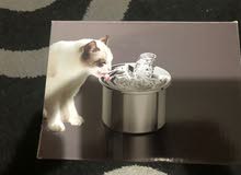 USB Stainless Steel Pet Water Fountain