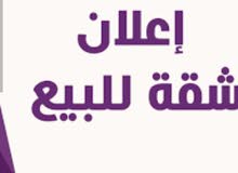 شقة عظم نابلس الجديدة