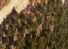 Mixed Use Land for Sale in Ramallah and Al-Bireh Qarawat Bani Zeid