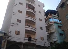 عماره المنصوره طلخا تقسيم المعلمين ثالث مطل على النيل عماره المنصوره طلخا تقسيم المعلمين ثالث مطل على النيل