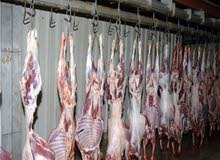 ابحث عن سلخانه لحوم للايجار ابحث عن سلخانه لحوم للايجار