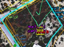 Mixed Use Land for Sale in Nablus Sebastia