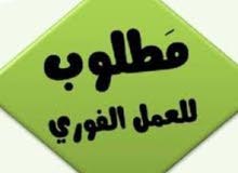 شركة كبري بحاجه الي مناديب مبيعات كاش فان شركة كبري بحاجه الي مناديب مبيعات كاش فان
