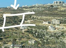 ارض للبيع مساحه دونم عاليه وكاشفه في منطقه  المزرعه الغربيه