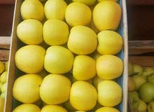 خضروات وفواكه باسعارالجملة معا خدمات التوصيل استعدادات تامة للمناسبات والخدمات ا خضروات وفواكه باسعارالجملة معا خدمات التوصيل استعدادات تامة للمناسبات والخدمات ا
