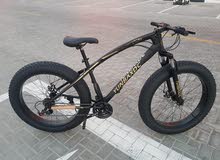 fat bicycle for adults fat bicycle for adults