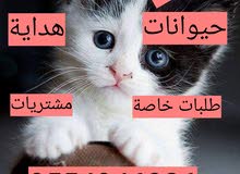 توصيل طلبات توصيل طلبات