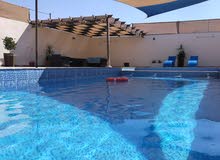 مزرعة نور الشمس بيرين صروت إيجار يومي او شهري