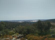 Mixed Use Land for Sale in Tulkarm Saida