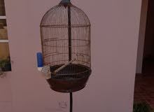 cage with stand for sale price 10 BD . free delivery . cage with stand for sale price 10 BD . free delivery .