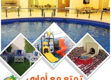 استمتع بالصيف مع شاليهات اماري استمتع بالصيف مع شاليهات اماري