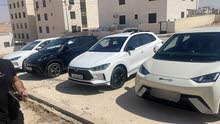 BYD SEAGULL 305km