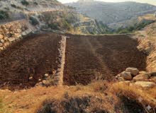 Residential Land for Sale in Hebron Dura