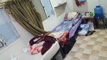 مشاركة سكن فى استوديو بالمحرق قرب كارفور مشاركة سكن فى استوديو بالمحرق قرب كارفور