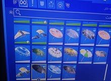 حساب فورت للبيع حساب فورت للبيع