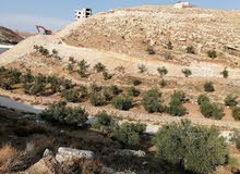 Mixed Use Land for Sale in Bethlehem Jannata