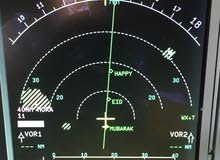 experienced flight /Ground instructor experienced flight /Ground instructor