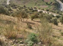 Farm Land for Sale in Salt Al Balqa'