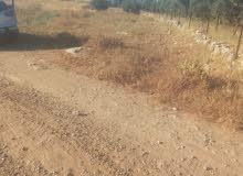 Mixed Use Land for Sale in Hebron Beit Ula