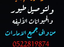 مندوب توصيل مندوب توصيل