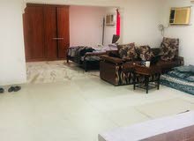 شقه للإيجار شقه للإيجار