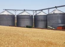 بحث عن عمل فى مجال طحن الحبوب مهندس انتاج وجودة بحث عن عمل فى مجال طحن الحبوب مهندس انتاج وجودة