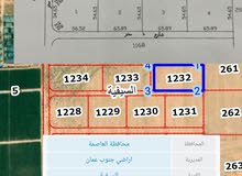 Farm Land for Sale in Amman Al Jizah