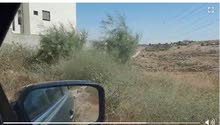 Residential Land for Sale in Amman Shafa Badran