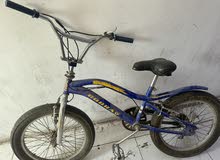 Cobra bicycle