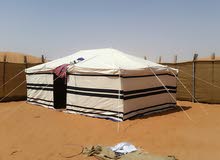 خيام للبيع بسعر رخيص - لوازم تخييم في البريمي : خيمة صغيرة للبيع