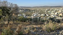 Mixed Use Land for Sale in Jenin Meithalun