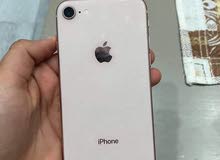iPhone iPhone