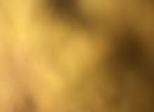 مطلوب بيض ملقح بش خضري او مصري مطلوب بيض ملقح بش خضري او مصري