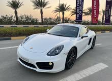 Porsche Cayman *S* 2014