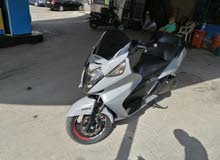 silverwing silverwing