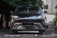 Byd Seagull 2024