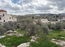 Residential Land for Sale in Ramallah and Al-Bireh Beit Liqya