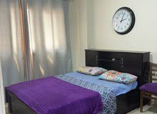 32m2 1 Bedroom Apartments for Rent in Sharjah Muelih