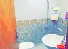 شقق للايجار شقق للايجار