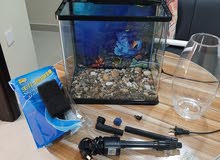 fish tank fish tank