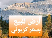 هكتار ارض للبيع هكتار ارض للبيع