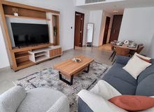 luxury 1 bedroom apartment in Muscat Hills (best fully furnished flat in the market)