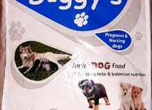 Doggy's pregnant & nursing dogs Doggy's pregnant & nursing dogs