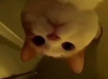 حساب ببجي حساب ببجي