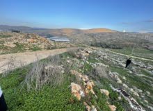 Mixed Use Land for Sale in Nablus Rujeib
