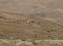 Farm Land for Sale in Madaba Al-Fayha'